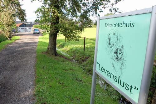 Dierentehuis Levenslust aan de Schoonengweg in Voorthuizen.